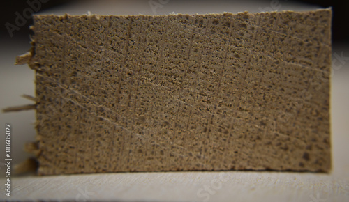 macro close up of end grain on a section of wood