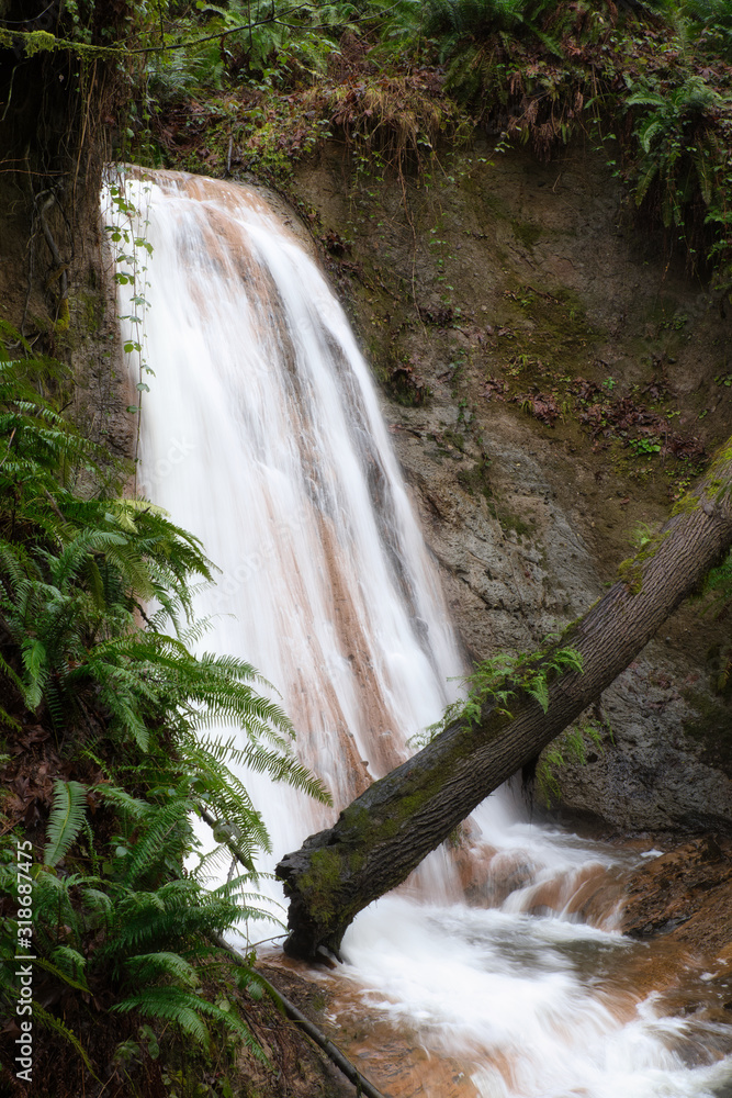 Obraz premium 2020-01-27 COAL CREEK FALLS IN THE COUGAR MOUTAIN REGIONAL PARK IN BELLEVUE WASHINGTON