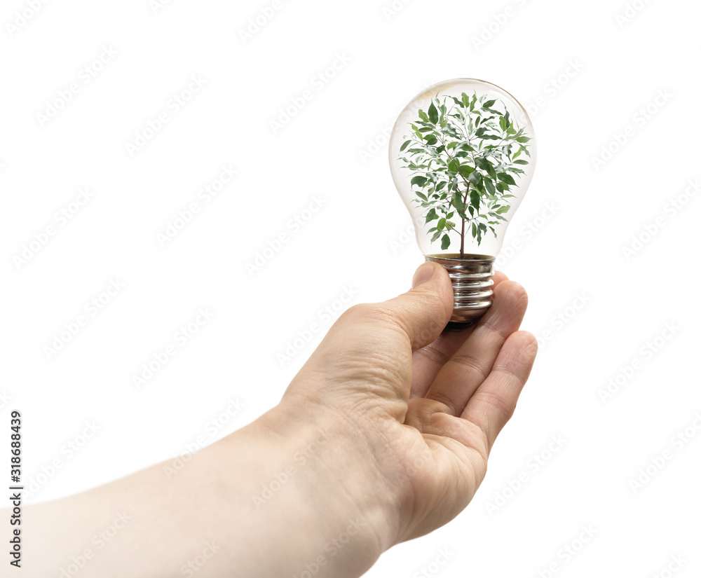 Concept of renewable energy. Light bulb with houseplant inside in woman hand. On white isolated background. Image Concept of renewable energy. Light bulb with houseplant inside in woman hand. On white isolated background. Image