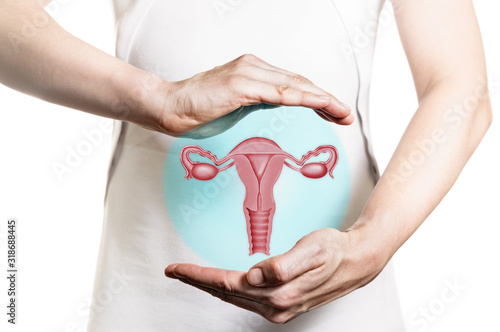 Bild auf Leinwand Image of a woman in a white dress and 3d model of the reproductive system of women above her hands