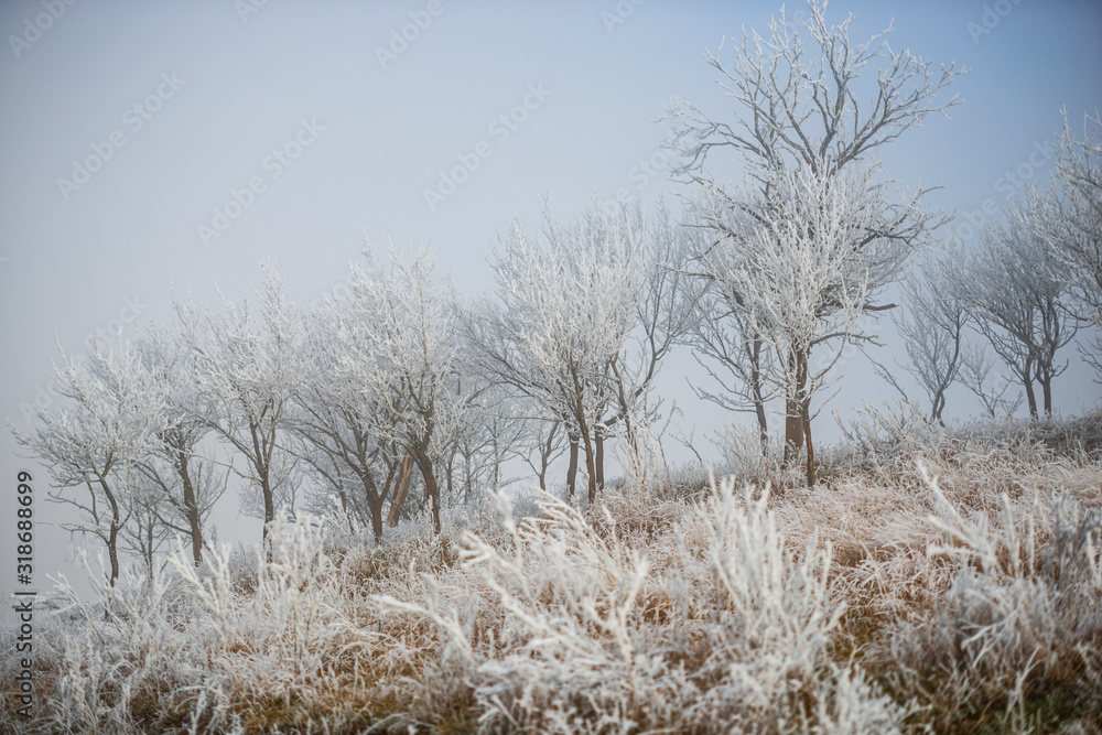 Amazing winter Amazing winter