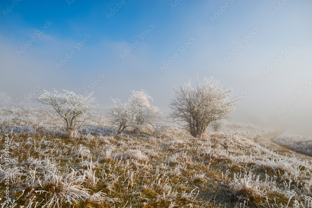 Amazing winter Amazing winter