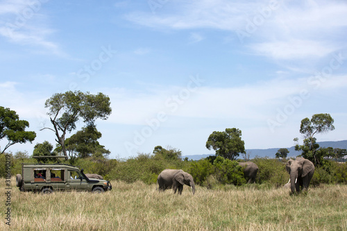 Photography Tourist enjoying game drive on safari Jeep in Masai Mara National Reserve