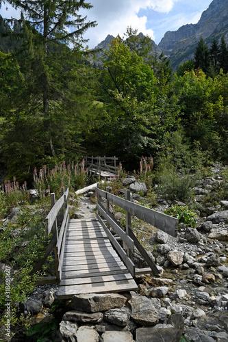 stege über den bärguntbach im kleinwalsertal photo