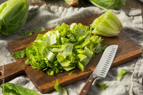 Raw Green Organic Cut Up Romaine Lettuce