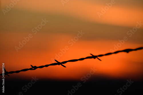 Barb wire fence and sunset