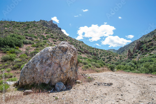 USA, Nevada, Clark County, Gold Butte National Monument, Virgin Mountains. A large rhyolite boulder at a campsite at the mouth of Cabin Canyon. photo