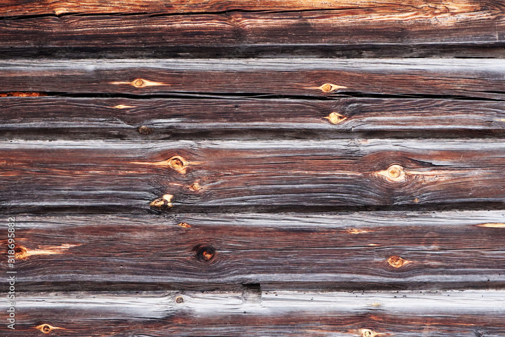 Wood texture close up. Abstract background. Wood texture close up. Abstract background.