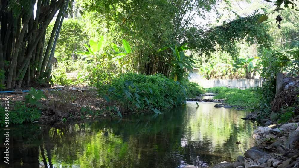 Small waterfalls and sounds Beside the waterfall there are bamboo trees. Small waterfalls and sounds Beside the waterfall there are bamboo trees.
