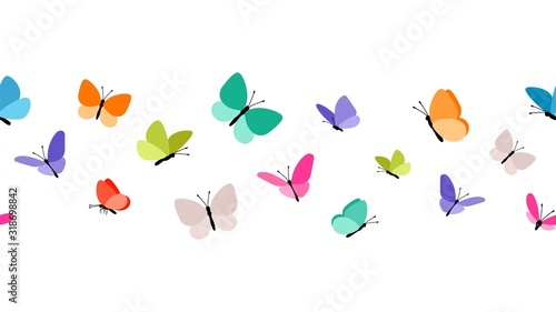 Color flying butterflies seamless pattern. Beautiful insects isolated on white background. Spring summer seasons butterfly vector border design photo