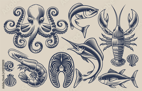 Set of vector illustrations on the sea food theme