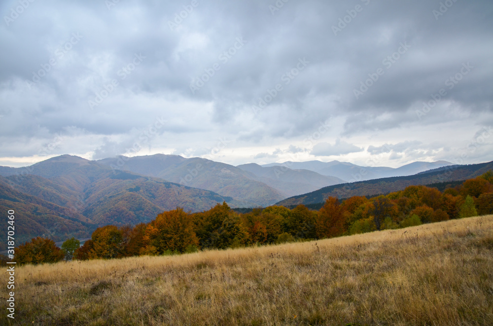 Beautiful mountain landscape, amazing view on high mountains covered with colorfull trees, autumn season, beautiful nature of Carpathians, Ukraine 
