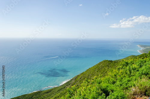 Green Coastline At The Foot Of The Cliff