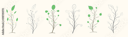 Set of branches with leaves of different shapes  two options  color and gray