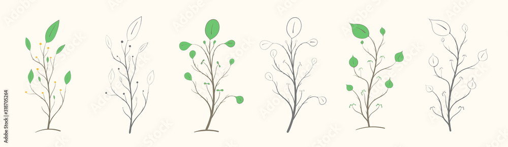 Set of branches with leaves of different shapes, two options, color and gray Set of branches with leaves of different shapes, two options, color and gray