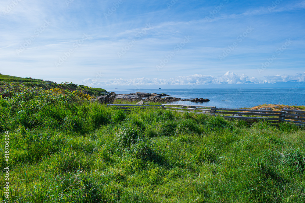 View of the Coast from the Grass