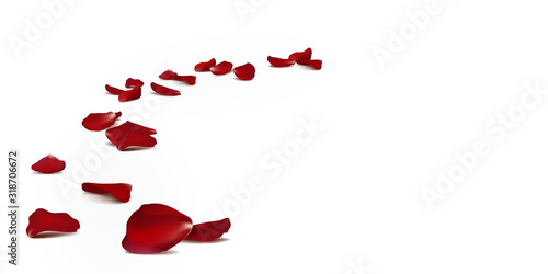 Falling red rose petals seasonal confetti, blossom elements flying isolated. Abstract floral background with beauty roses petal. design for greeting cards. Rose petals fall to the floor
