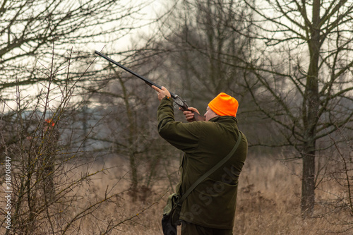 Hunter aiming the hunt during the hunting season. The hunter shoots game. Pheasant hunting with dogs.