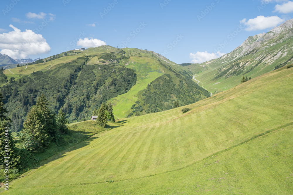 Fototapeta premium Idyllic summer landscape in the Alps
