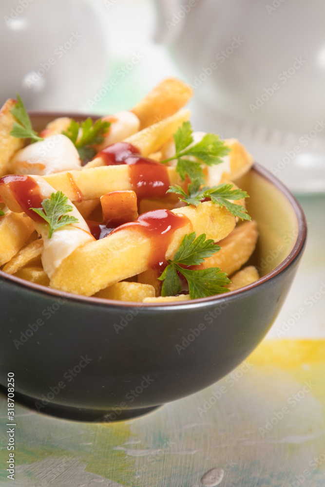 Canadian poutine potato fries with cheese and gravy Canadian poutine potato fries with cheese and gravy