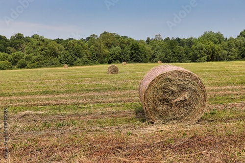 Haystacks on the field in the summer