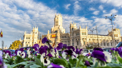 Cybele Palace  Palacio de Cibeles  and Cibeles fountain in Madrid with blurry flowers on the foreground