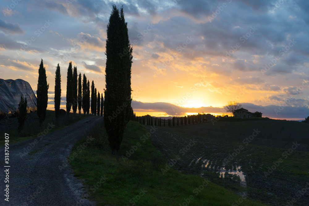  Beautiful sunset landscape in Tuscany, Italy, Europe