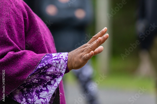 Closeup midsection of female wearing full sleeve purple dress while gesturing telling story during festival at world and spoken word festival © Valmedia