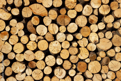 View of a stack of firewood