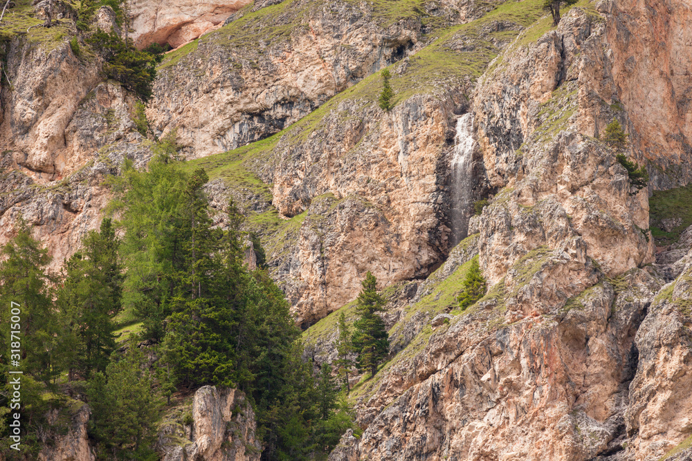 some larches on impervious mountain wall