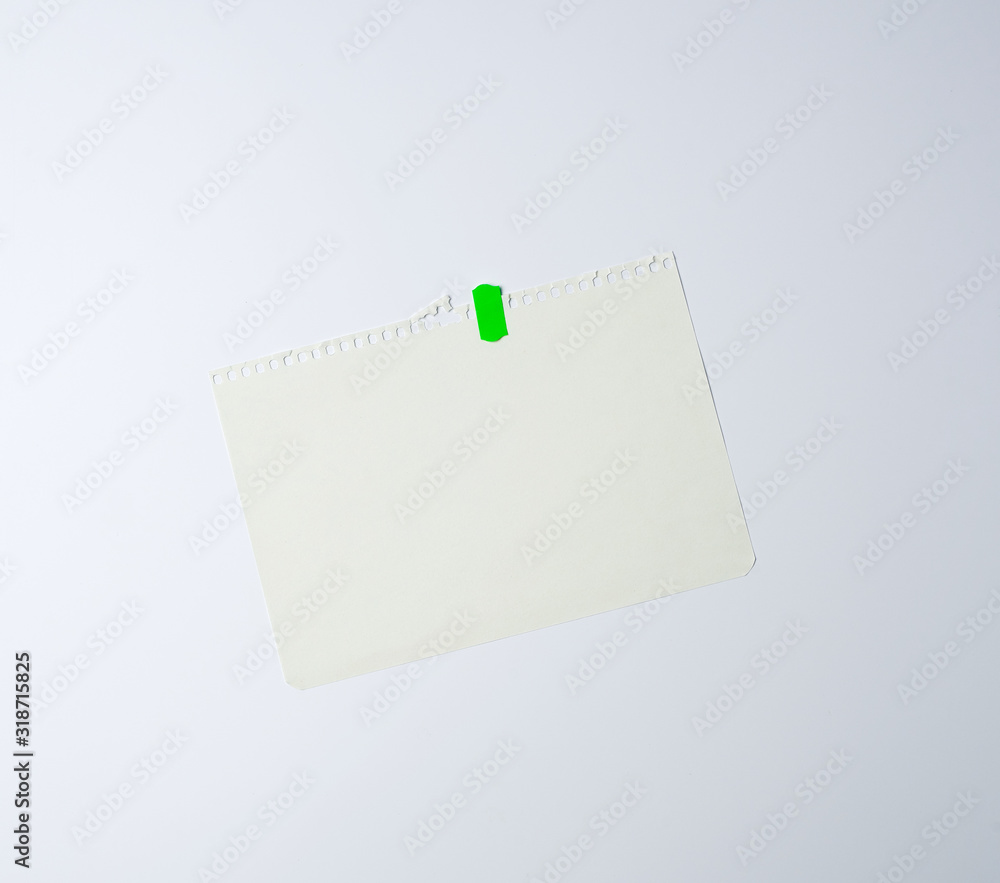white sheet of paper torn from a spiral notebook white sheet of paper torn from a spiral notebook