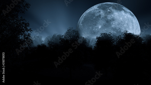 Moon at night in fogy forest