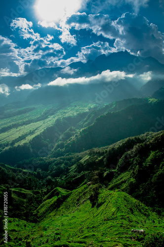 paisaje colombiano monta  oso soleado
