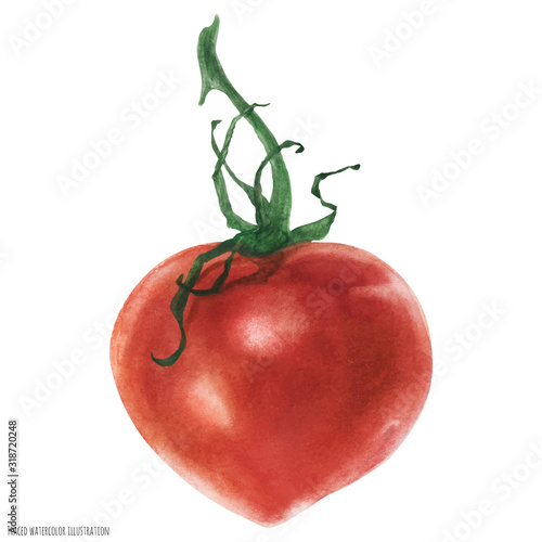 Heart-shape red tomato, watercolor