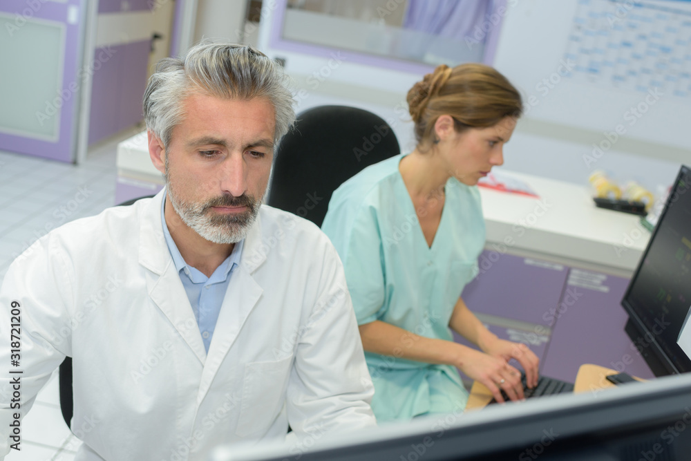 Fototapeta premium medical staff in office using computers