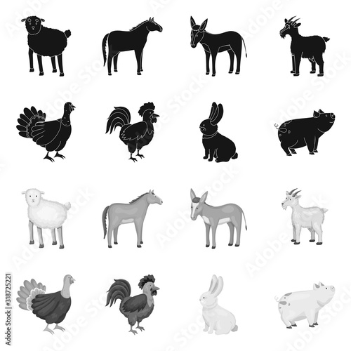 Vector design of breeding and kitchen sign. Set of breeding and organic stock vector illustration.