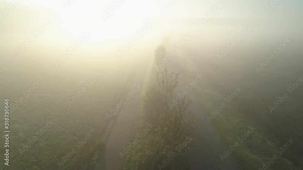 Aerial view of treelined rural road with a cycle lane and morning fog Aerial view of treelined rural road with a cycle lane and morning fog