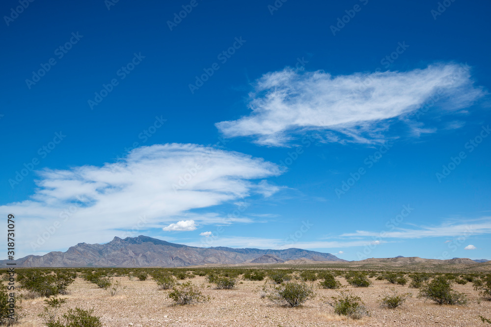 USA, Nevada, Clark County, Gold Butte National Monument. A wide view of Virgin Peak beyond Frenchman Flat along Frenchman Cove Road.