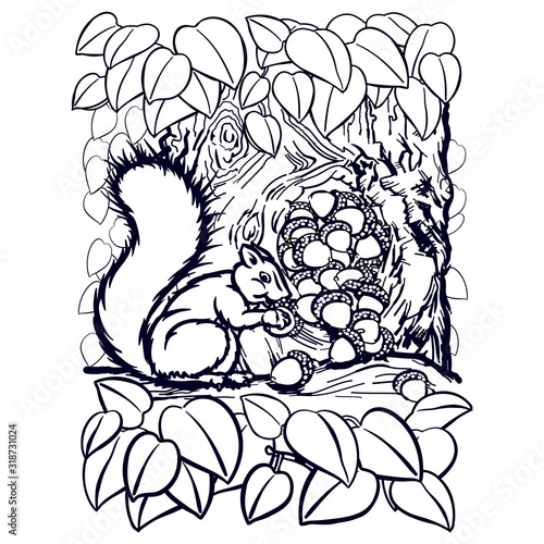 Squirrel saving with a pile of acorns overflowing out of a hole in the tree as the squirrel with a long furry tail holds a single nut close to his chest. Loose line art