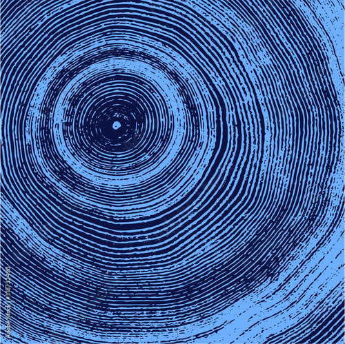 Vector wood texture of a blue tree rings and ripples cross section wooden stump showing years and growth rings.