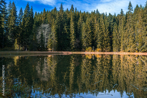 Reflections on the coniferous forest and blue sky with white clouds in a clear mountain lake water.