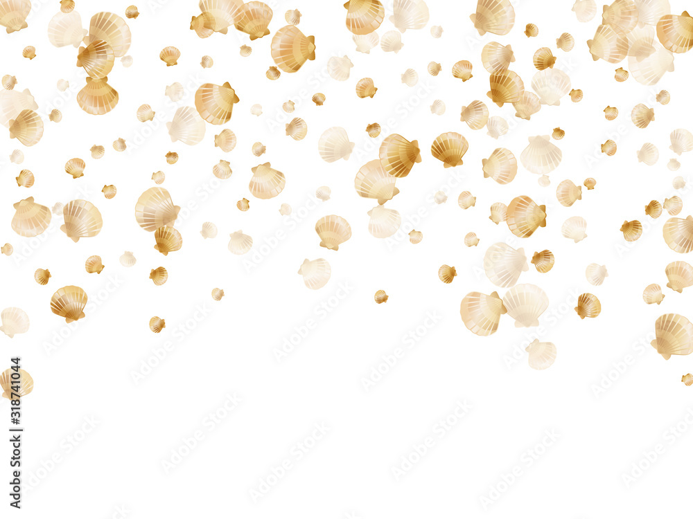 Gold seashells isolated, pearl bivalved mollusks Gold seashells isolated, pearl bivalved mollusks