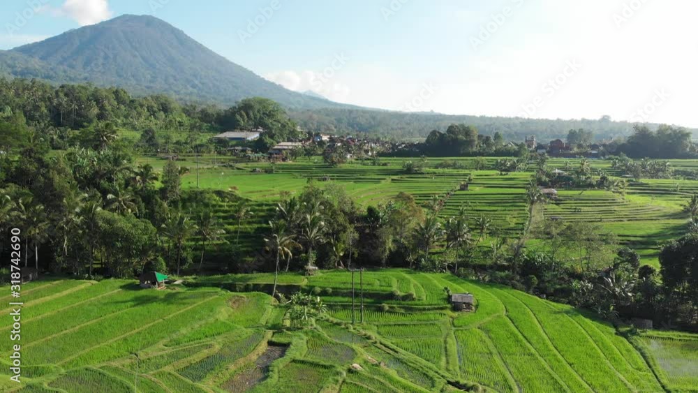 Drone aerial view in an amazing landscape rice field on Jatiluwih Rice Terraces and mountain, Bali, Indonesia, top drone view above rice terraces in sunny day rice field. 4K footage. Drone aerial view in an amazing landscape rice field on Jatiluwih Rice Terraces and mountain, Bali, Indonesia, top drone view above rice terraces in sunny day rice field. 4K footage.