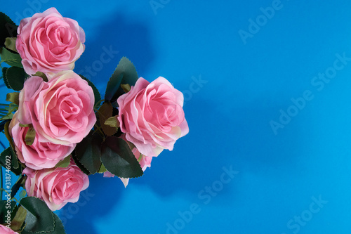 pink roses on a blue background.postcard