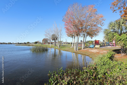 Florida red maple trees at Lake Dora in Wooten Park, Tavares, Florida.  Tavares is part of the Golden Triangle which includes Mount Dora and Eustes known for it's small town feel and natural beauty. photo