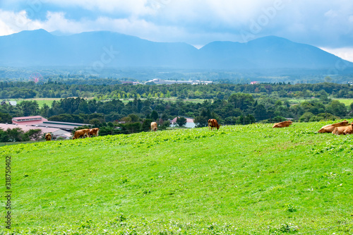 蒜山高原の風景　The landscape at Hiruzen highland in Maniwa city, Okayama pref. Japan. photo