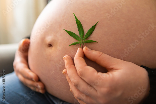 A close up shot on the large belly of a heavily pregnant woman, holding a cannabis leaf in hand, marijuana use for pain relief during natural birth