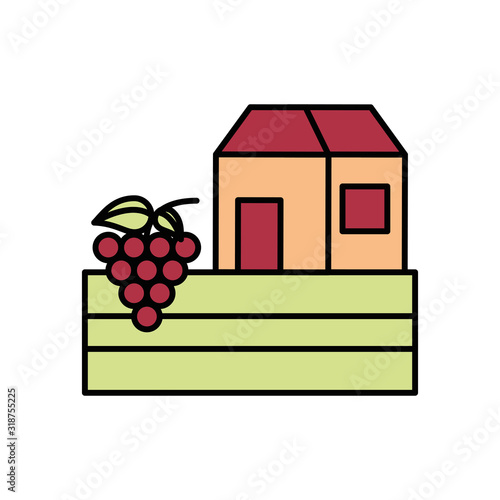 grapes fresh fruits with house building