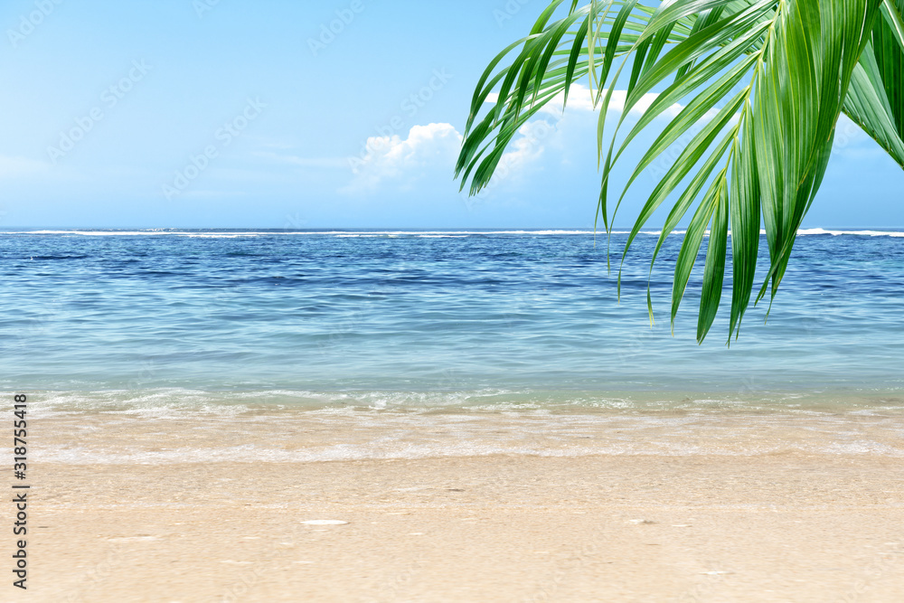 Naklejka premium Sandy beach with green palm leaf and blue ocean view