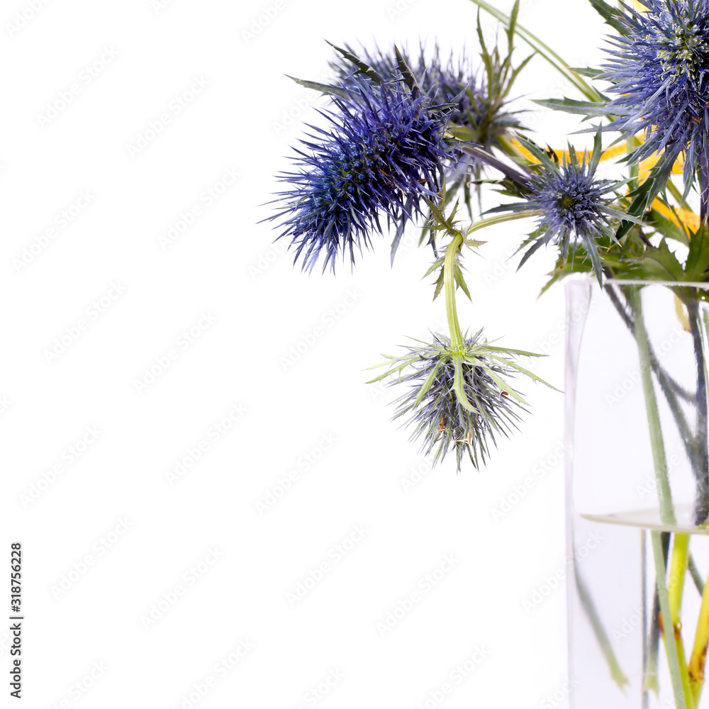 Fototapeta premium Funky purple thistles in a flower arrangement